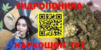 mdma Тулун