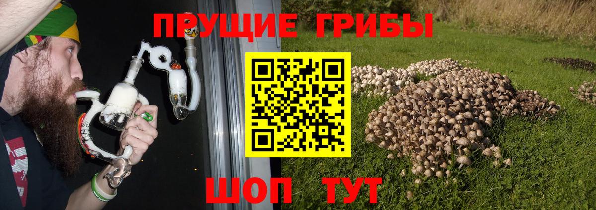 Борзя  Псилоцибиновые грибы прущие грибы  где найти   Вход с VPN 