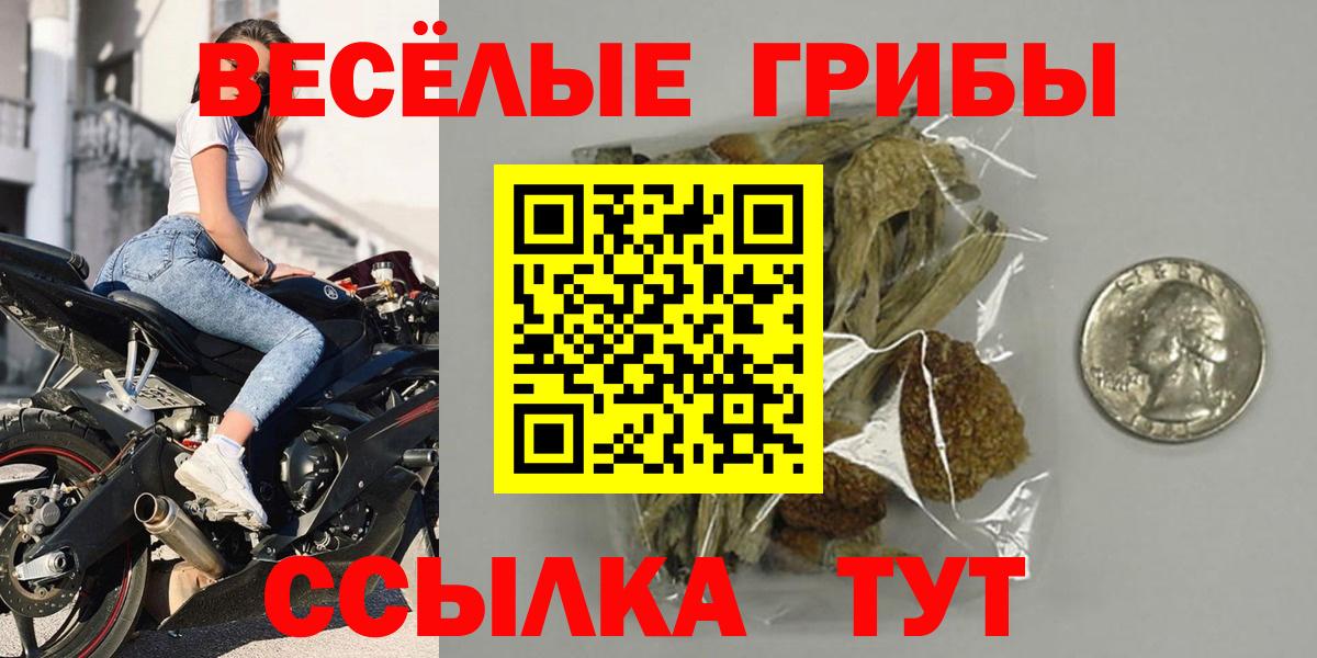 Галлюциногенные грибы Psilocybine cubensis Борзя
